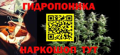 ALPHA PVP Канаш