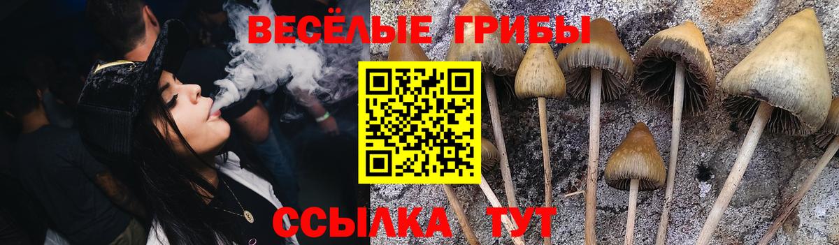 Галлюциногенные грибы Magic Shrooms  Псилоцибиновые грибы прущие грибы  Вход с VPN  Прохладный 